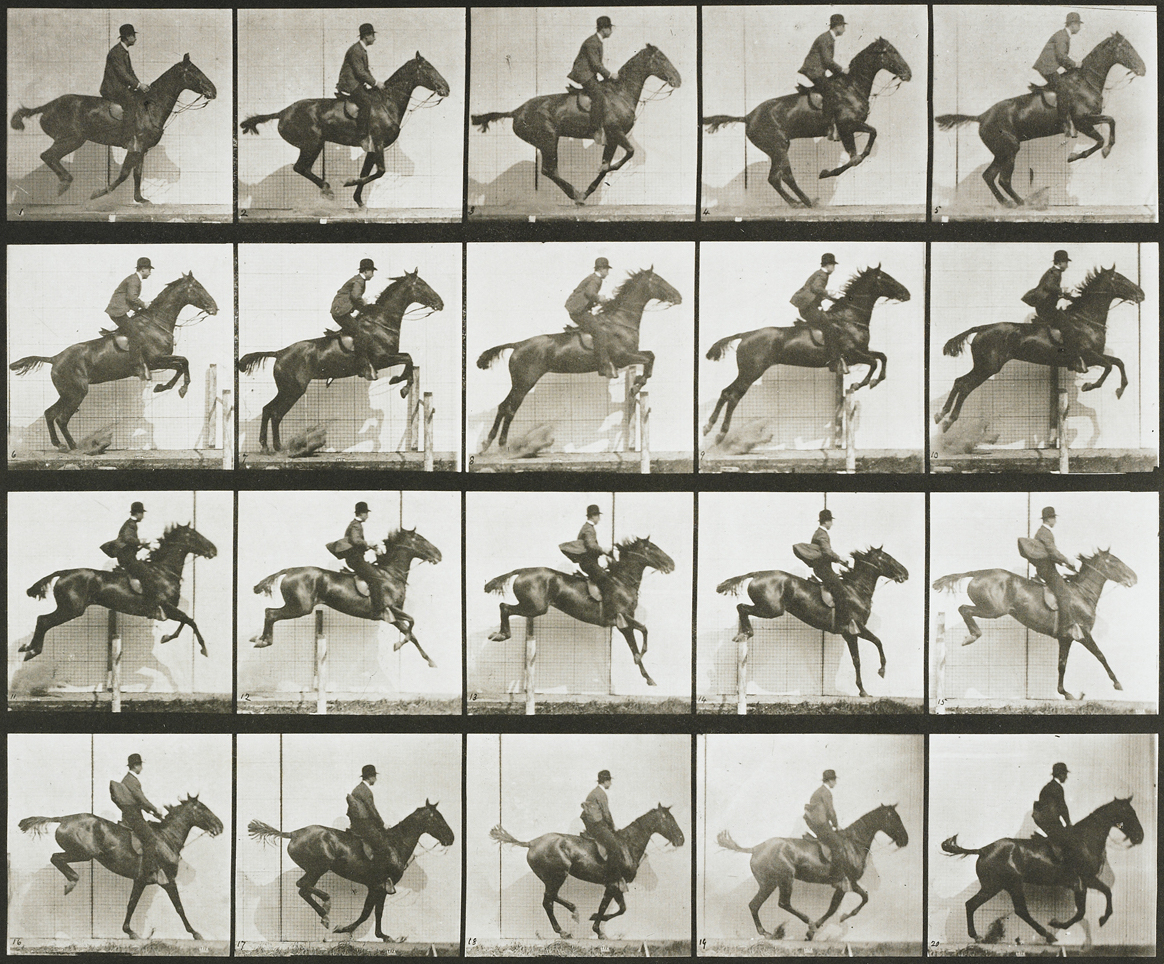 s Muybridge study of motion